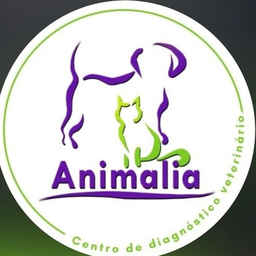 Animalia